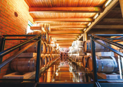 cellar and distillery | Distillerie Berta | Monbaruzzo | AT | Piemonte